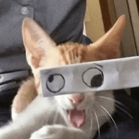 Сломанные коты