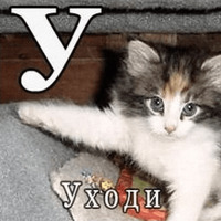 Сломанные коты