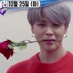 БЭТЭЭСВИЗЛАВ