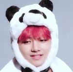 БЭТЭЭСВИЗЛАВ