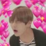 БЭТЭЭСВИЗЛАВ