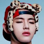 БЭТЭЭСВИЗЛАВ