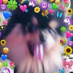 БЭТЭЭСВИЗЛАВ