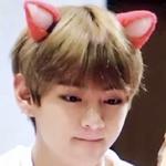 БЭТЭЭСВИЗЛАВ