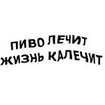 зайчыкпак