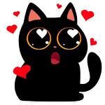 cat Teftel