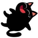 cat Teftel