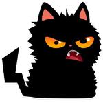 cat Teftel