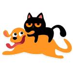 cat Teftel