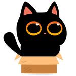 cat Teftel