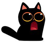 cat Teftel