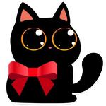 cat Teftel