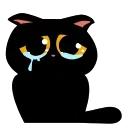 Cat Teftel