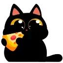 Cat Teftel