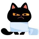Cat Teftel