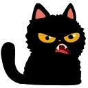 Cat Teftel