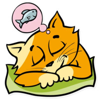 Котская жизнь