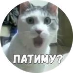 Байной?