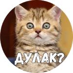 Байной?
