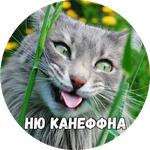 Байной?