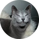 catsbySmol2