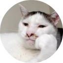 catsbySmol2