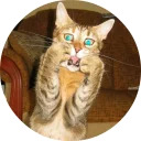 catsbySmol2