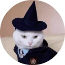 catsbySmol2