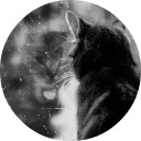 catsbySmol2