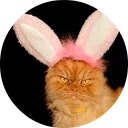 catsbySmol2