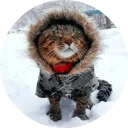 catsbySmol2