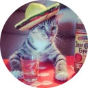 catsbySmol2