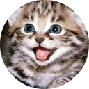 catsbySmol2