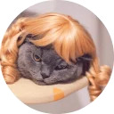 catsbySmol2