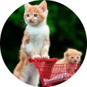 catsbySmol2