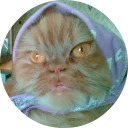 catsbySmol2