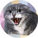 catsbySmol2