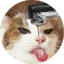 catsbySmol2