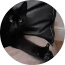 catsbySmol2