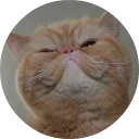 catsbySmol2