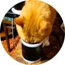 catsbySmol2