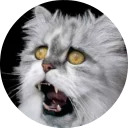 catsbySmol2