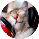 catsbySmol2