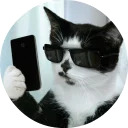 catsbySmol2