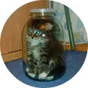 catsbySmol2