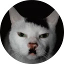 catsbySmol2