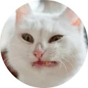 catsbySmol2