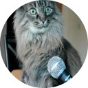 catsbySmol2