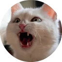 catsbySmol2