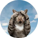 catsbySmol2